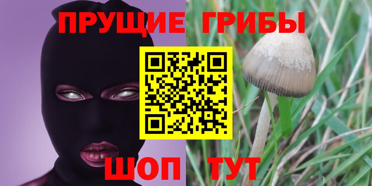 Псилоцибиновые грибы мухоморы Тихвин