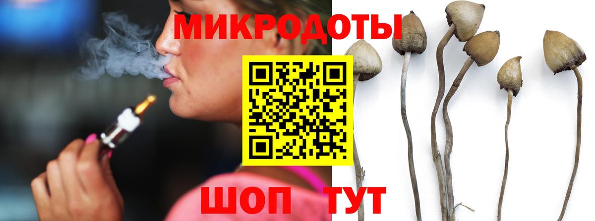 Галлюциногенные грибы MAGIC MUSHROOMS  Вход с VPN  Тихвин  Псилоцибиновые грибы Cubensis 